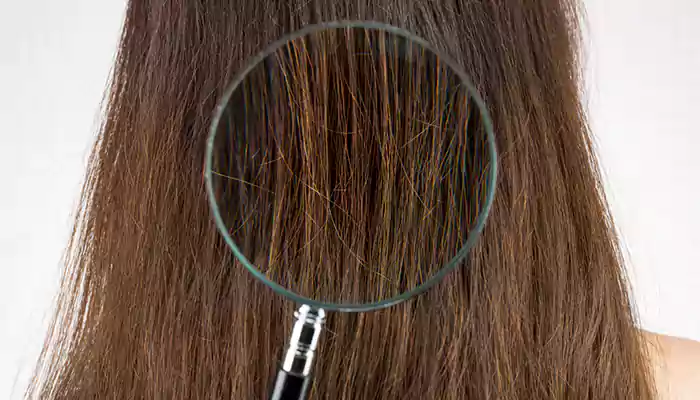 Hair textures and types of hair: All Hair types 10 Coarse hair texture representing one of the main hair types.