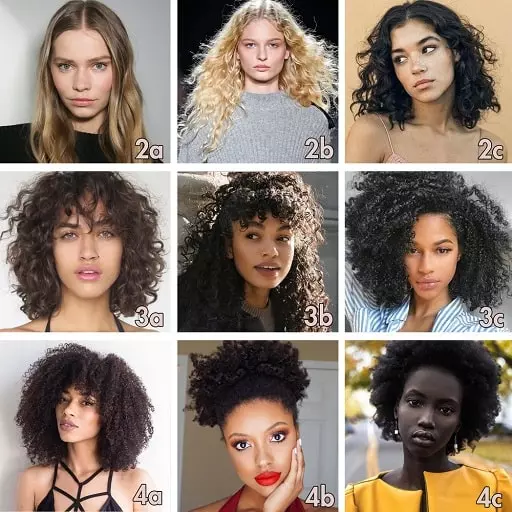 Hair textures and types of hair: All Hair types 1 Illustration showing different hair types including straight, wavy, curly, and coily hair.