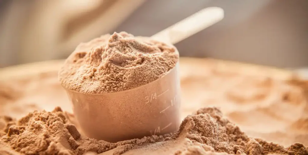 Protein powder for natural fat burner